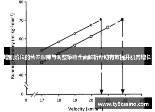 增肌阶段的营养跟踪与调整策略全面解析帮助有效提升肌肉增长